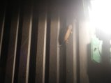 050-DSCF0333.jpg.small.jpeg