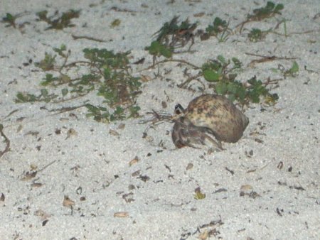 266-IMGP1083.jpg.medium.jpeg